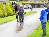 WG031025-51 - Jaramillo